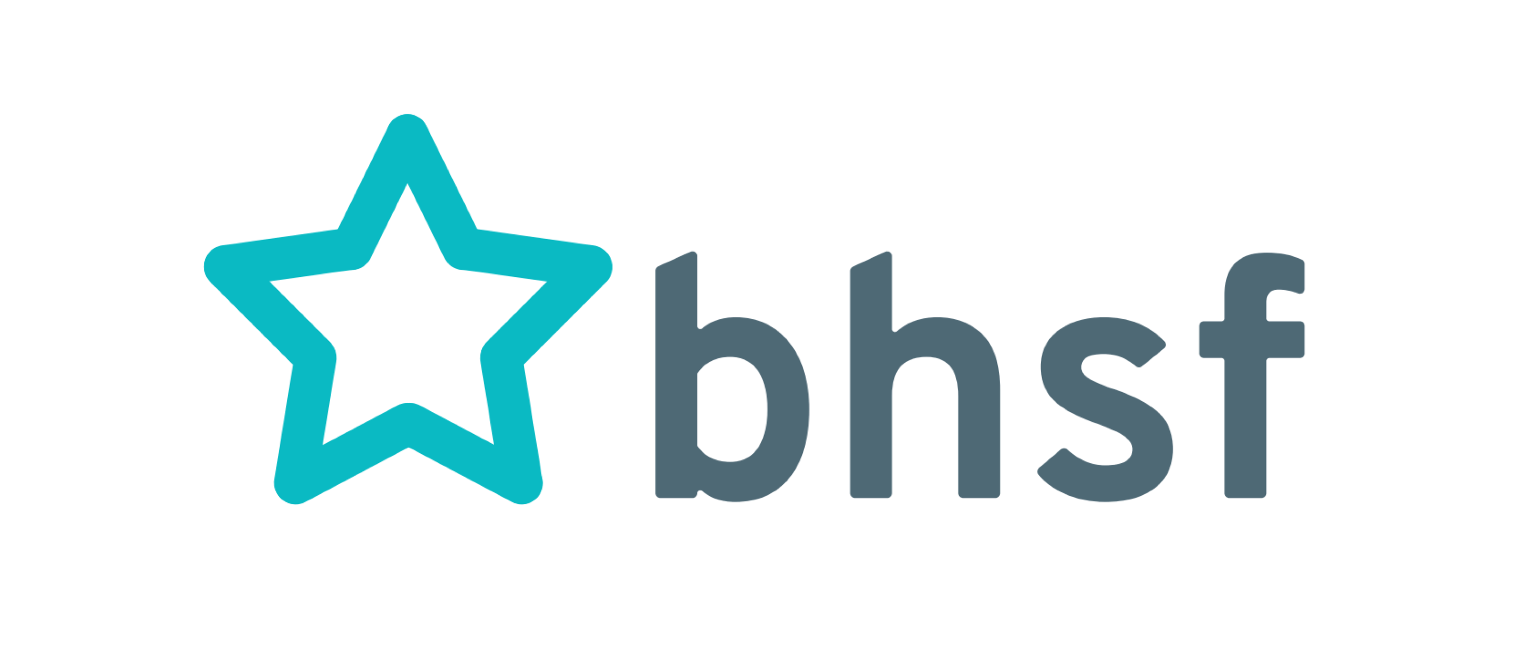 bhsf logo