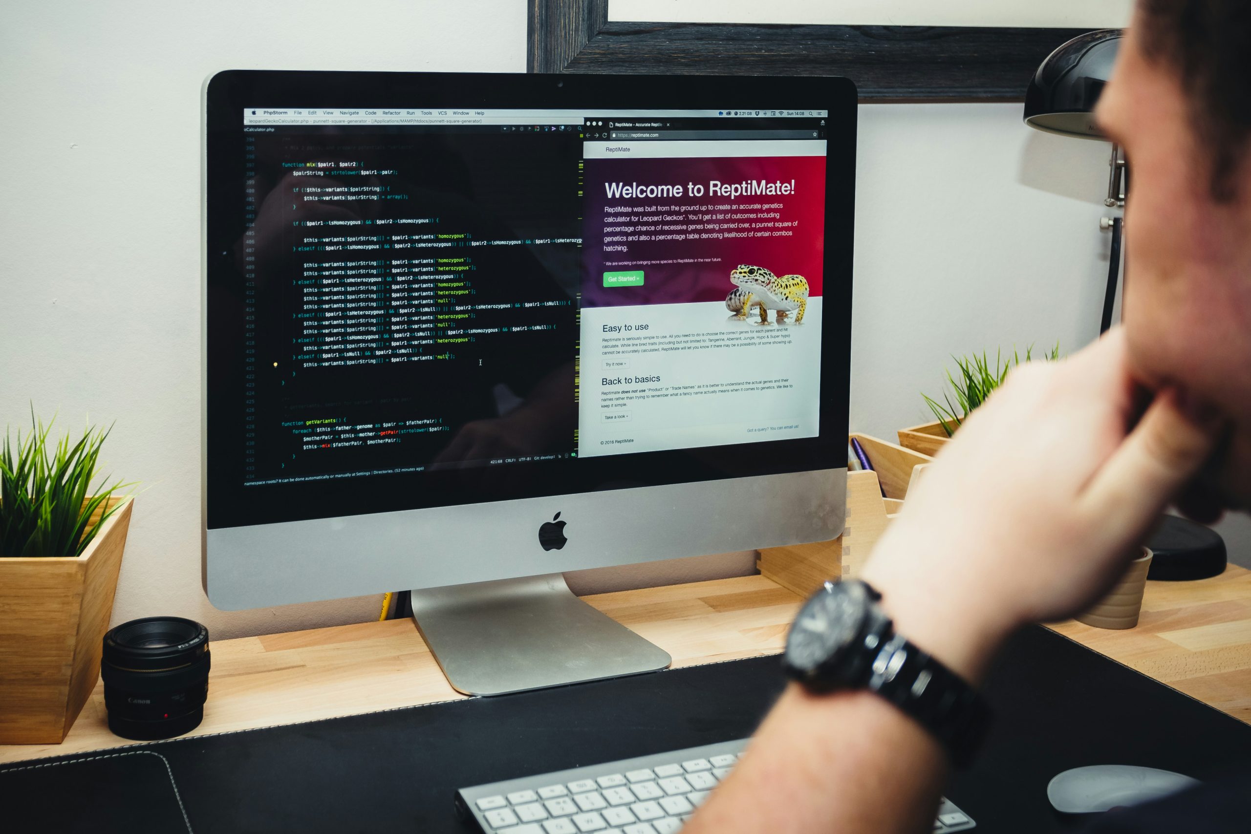 developer creating a website